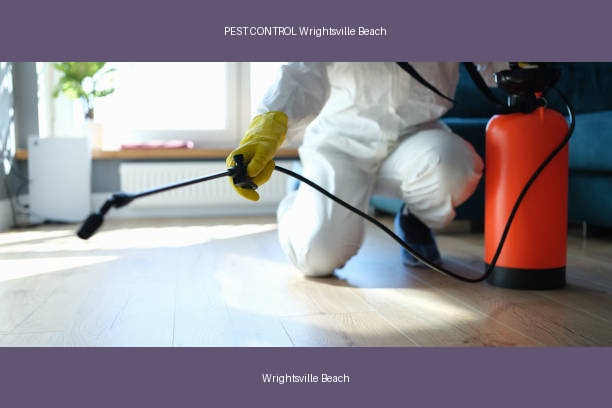 PEST CONTROL Wrightsville Beach